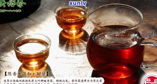 普洱熟茶小金沱：品种、口感、冲泡方法与价格全解析