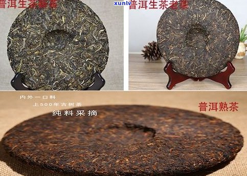 生茶普洱茶泡多久最适宜口感？