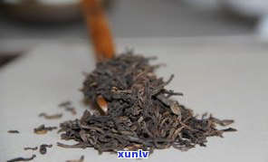 金中茶普洱茶原料-金中茶普洱茶原料是什么