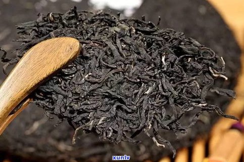 金中茶普洱茶原料-金中茶普洱茶原料是什么
