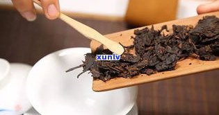 普洱茶色香味：探索其特别魅力与品味之道