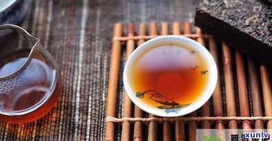 大益茶普洱茶视频教程：从基础知识到泡法全攻略