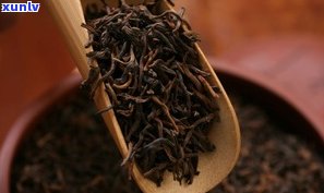 普洱茶：如何识别古树茶？看外形、闻香气、尝滋味