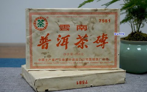 勐海茶厂大益茶：80周年纪念版7572、7542价格与特点全解析