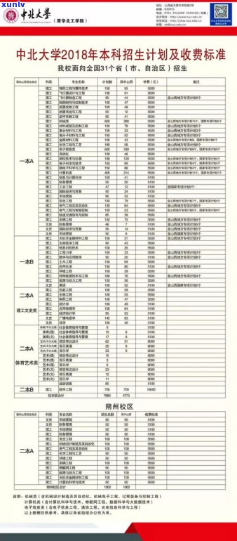 普洱茶等级排序及划分标准：从初级到高级的价格分析