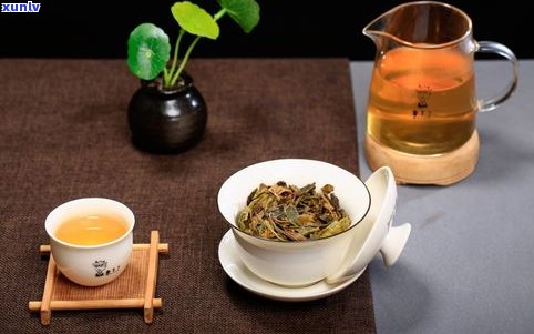 普洱茶：碎银子与饼茶，哪种更好？口感、品质、保存方法全解析