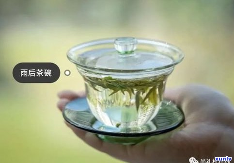 盖碗泡普洱茶：生茶、熟茶的区别与选择