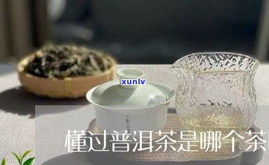 普洱茶的各大茶区-普洱茶的各大茶区是什么