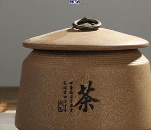 普洱茶评茶标准：耐泡度、特点及评价方法全解析