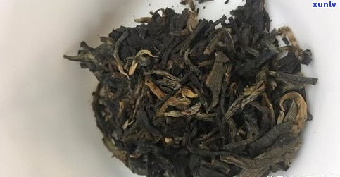 评鉴普洱茶：全面解读评茶标准与品评术语