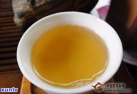 普洱茶是茶中珍品吗？探讨其特别之处与价值