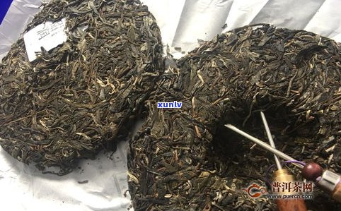 普洱茶生茶甜不甜-普洱茶生茶甜不甜呀