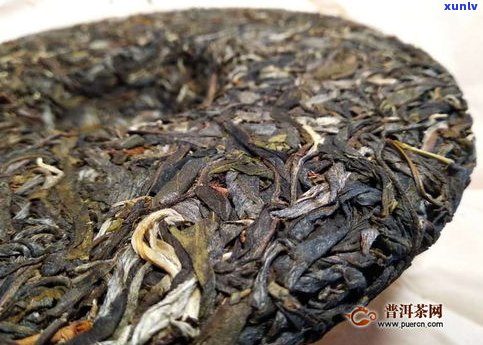 普洱茶生茶甜不甜-普洱茶生茶甜不甜呀