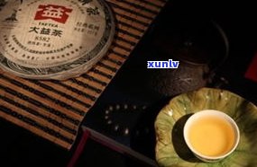 洛阳大益普洱茶价格与专卖店信息全览