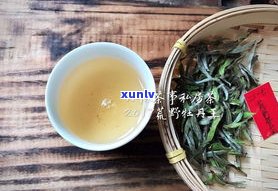 普洱茶熟茶茶饼的最佳冲泡方法与技巧