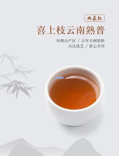 普洱茶熟茶饼介绍-普洱茶熟茶饼介绍文案