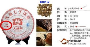 普洱茶属于贡茶吗？探讨其分类归属