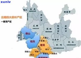 临沧产区的普洱茶：品种、产地及特点全解析