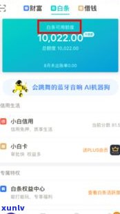 京东白条还款宽限期：逾期一天有何结果？