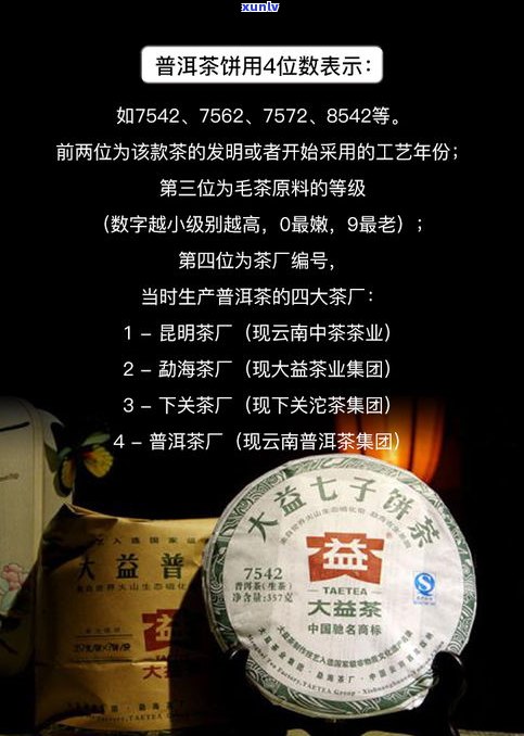 普洱茶编号7262是什么意思？详解其含义与代表意义