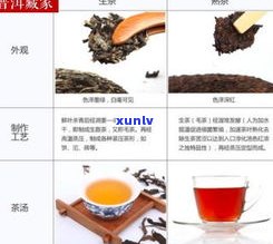 全面解析乌龙茶普洱茶的区别