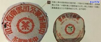 老王的普洱茶：品种、真伪与特点全解析