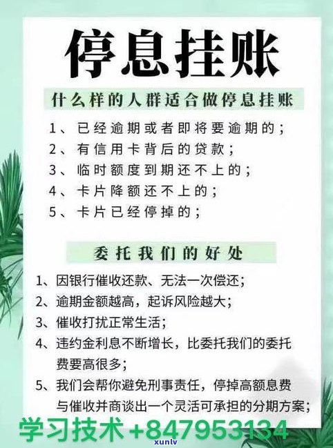 停息挂账申请全攻略：怎样本人办理？适用于网贷、借呗、美团等平台