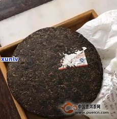 0562的普洱茶-普洱茶0582