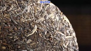 普洱茶干仓是什么意思？详解干仓存放对普洱茶的影响与重要性