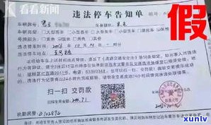 办理停息挂账的中介违法吗？怎样实施举报？