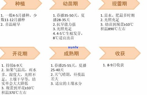 全面解析：普洱茶产地区的别及分区，熟悉各产区的特点与区别