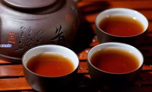 茶居士易武普洱茶-茶居士云南普洱