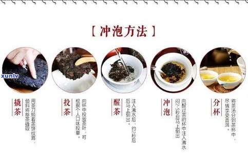 普洱茶痛风：可以喝吗？——来自百科的解答与效果探讨