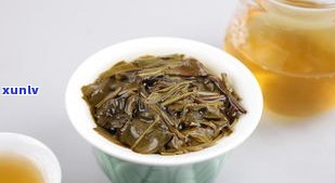 清风普洱茶痛风-清风普洱茶痛风能喝吗