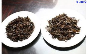 哪种普洱茶是假茶叶？真假辨别全攻略