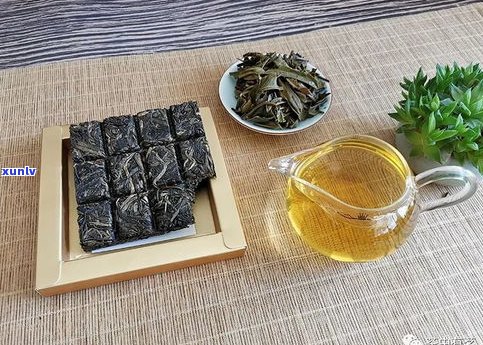 普洱生茶饼：如何泡出好喝的茶？