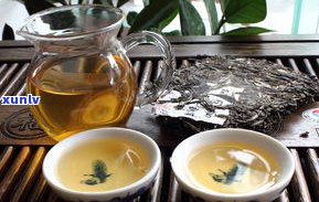 普洱茶中的果子茶：品种、口感与茶果介绍