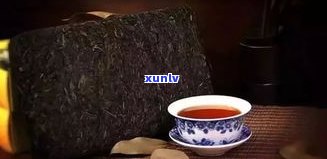 用煮茶器煮黑茶视频教程：详细步骤与方法讲解