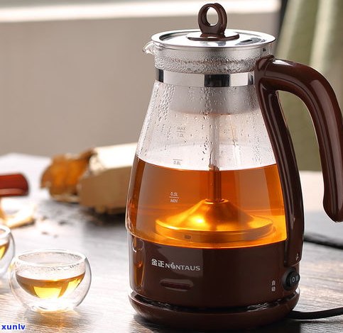 煮茶器黑茶普洱茶-煮茶器黑茶普洱茶怎么用