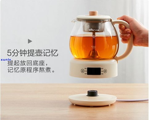 煮茶器黑茶普洱茶-煮茶器黑茶普洱茶怎么用