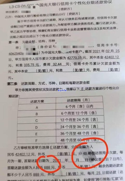 网贷：本人协商还是找律师？费用、效果对比及延期还款策略，停息挂账真相大揭秘