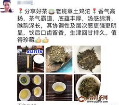 普洱茶为何难喝？如何解决口感问题？热度不减的背后原因是什么？