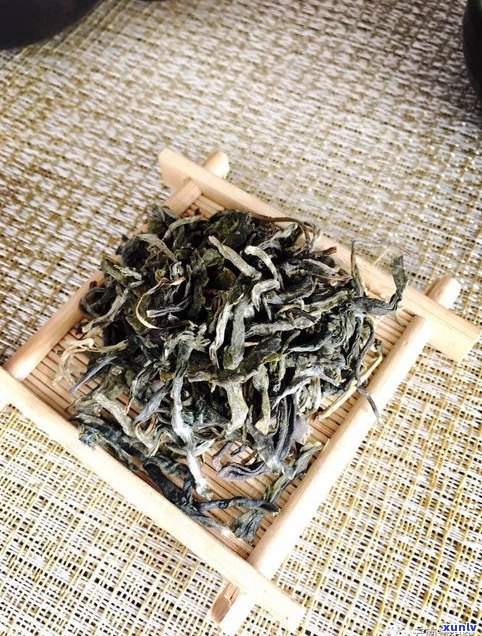 普洱茶老茶喝不惯-普洱茶老茶喝不惯怎么回事