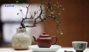 普洱茶老茶喝不惯-普洱茶老茶喝不惯怎么回事