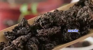 冲泡老茶头普洱茶的方法：步骤、技巧与视频全解析