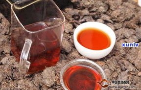 冲泡老茶头普洱茶：好处、方法与视频全解析