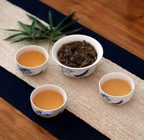 全面解析：普洱茶分为哪几个茶区？