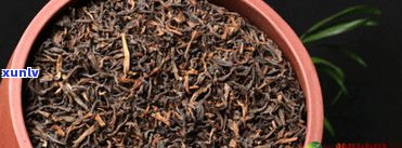 深入熟悉普洱茶古树茶的优点：特别特点与优势全面解析