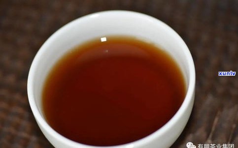 中茶普洱茶哪种好-中茶普洱茶哪种好喝