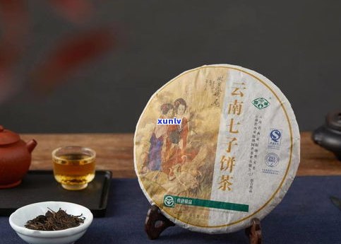 探秘普洱老茶的魅力：特有口感、陈化过程与收藏价值